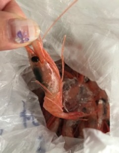 image1.jpeg