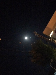 image1.jpeg