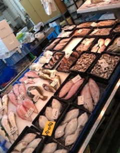 image2.jpeg
