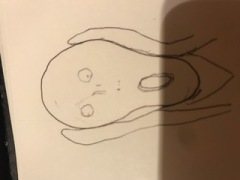 image1.JPG