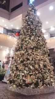 image1.jpeg