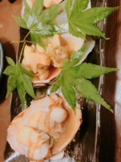 image1.jpeg
