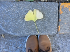 image1.JPG